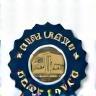 Certification badge icon